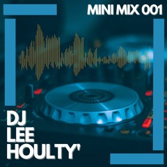 lee's mini mix
