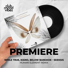 PREMIERE: While True, Kiano, Below Bangkok ─ Skeksis (Human Element Remix) [Echoes Records]