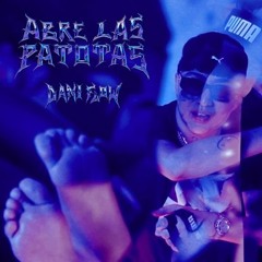 ABRE LAS PATOTAS - Dani Flow (Dieg8x AI)