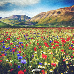 (VENDIDO) Margarida 82bpm $50