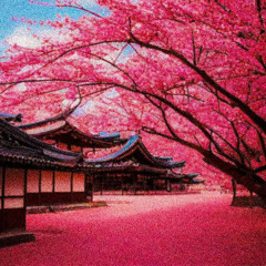 blossom