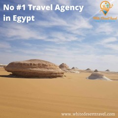 Travel Agency in Egypt - White Desert Travel