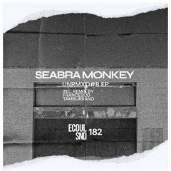 Seabra Monkey - AI Error 404 [ECOUL182]