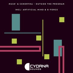 Outside The Program (Original Mix)