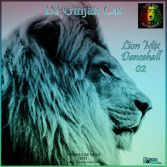 Lion Mix - Gumm Riddim Mix (Dancehall 2001 Ft T.O.K, Gold Voice, Sizzla & Bling Dawg)