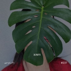 Xinyi - 5/8 Radio #237