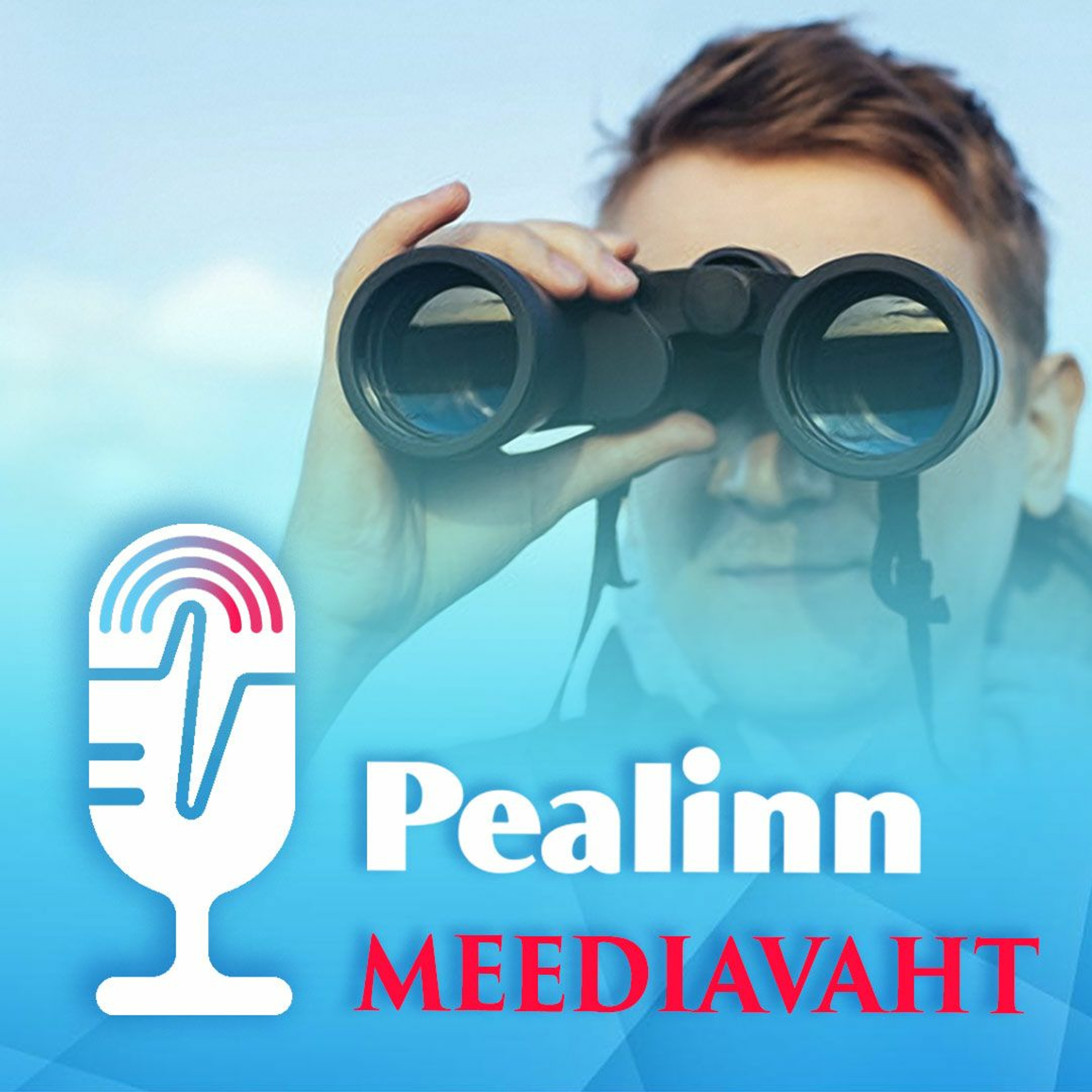 Meediavaht 26