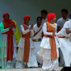 CIYAAR SAYLICI SHIDAN HIDO ACADEMY