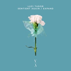Luzi Tudor - Expand feat. BIIANCO