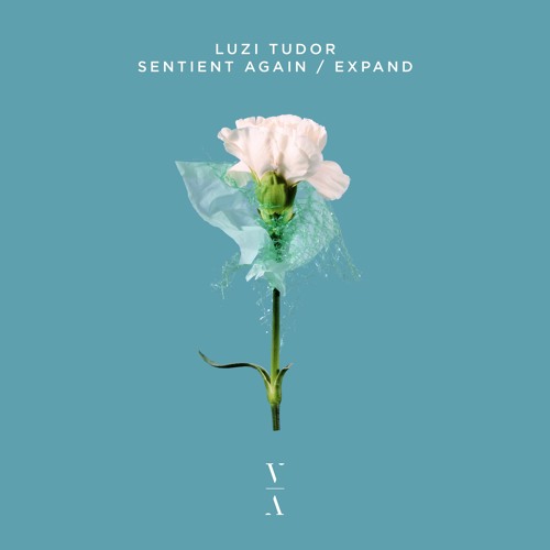 Luzi Tudor - Sentient Again