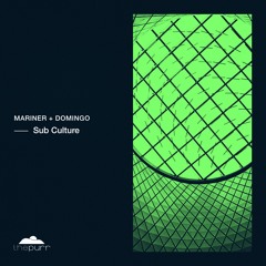 Mariner + Domingo - Who Do You Want To Be (Original Mix)
