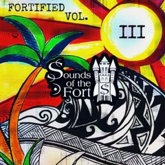 Fortified Vol. 3 - Gnarly Waves Dude