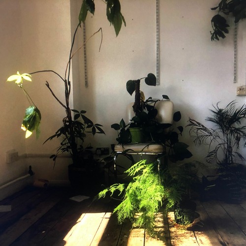Lu - The Monday Is OK 'Barking At Trees' Mixtape