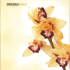 Orkidea - Labrynth (Taika Remix)