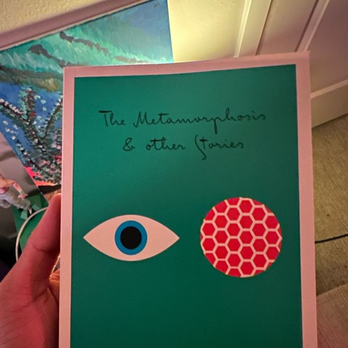 🌀 nimedfe-v0.1 🌀