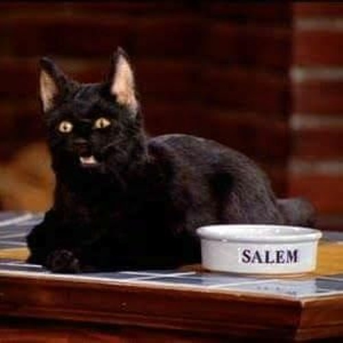 Stream Salem Le Chat De Sabrina Conte Chapitre 1 From Del Vedo Listen Online For Free On Soundcloud