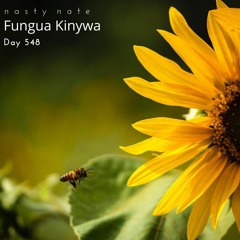 n a s t y  n a t e - Fungua Kinywa. Day 548 - AMAPIANO