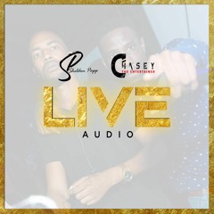 Sheldon Papp X Chasey LIVE @ Ritzi The Cruise (Mc Buccaner)