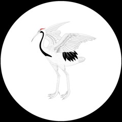 Premiere : Dieru - Real Talk (DOJS008)