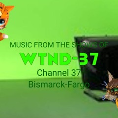 Background Music 8 (from Music from the Shows of WTND-37)