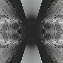 Teebs - Flower Drum Song (Otto Dash Remix)