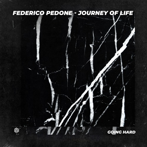Federico Pedone - Journey Of Life