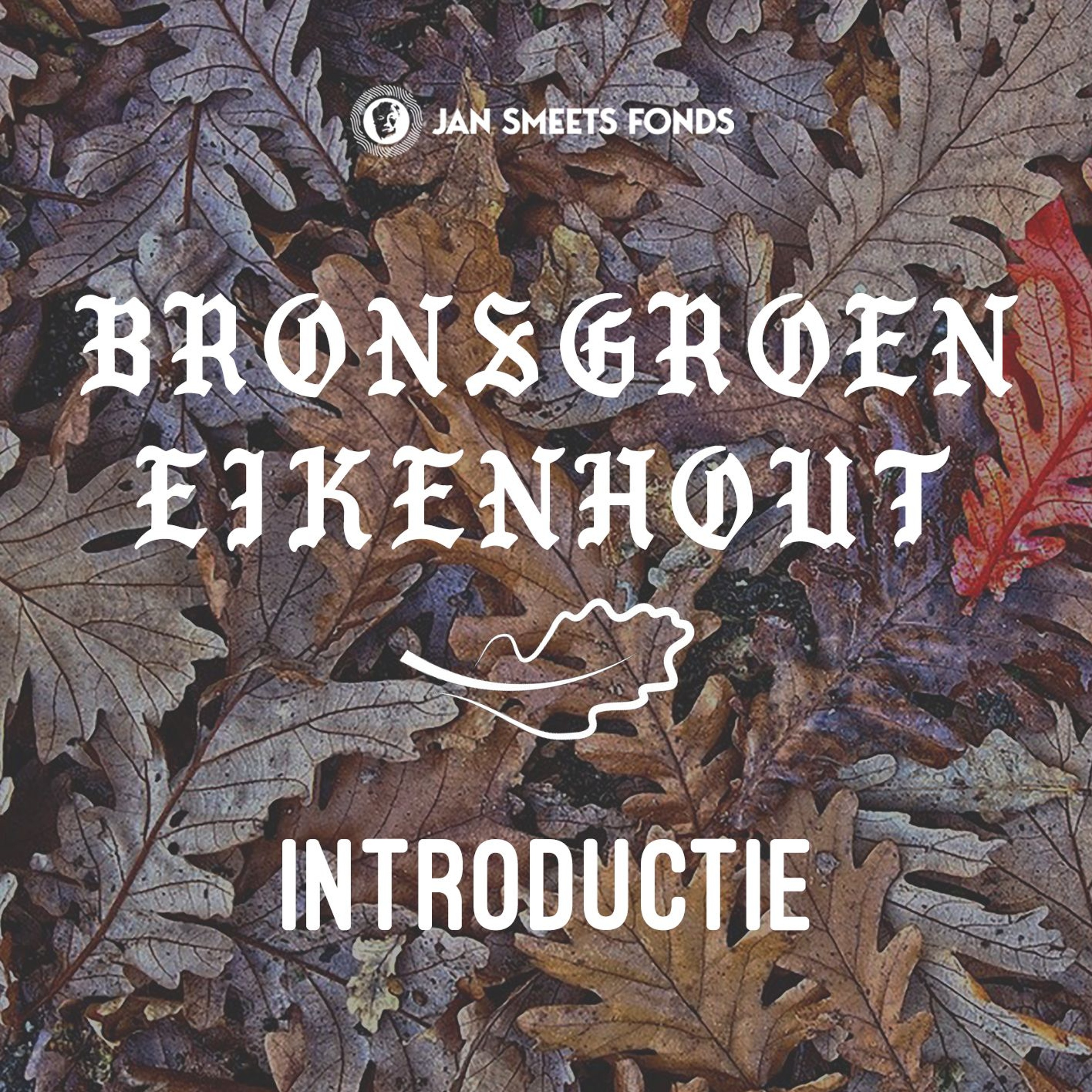 Bronsgroen Eikenhout