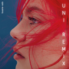 Louane - rien ne dure (UNI remix)