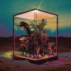 NXN & Truwer — OASIS