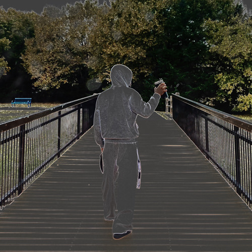 the walk
