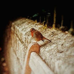 Life Links