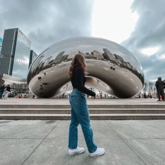 Chicago 24
