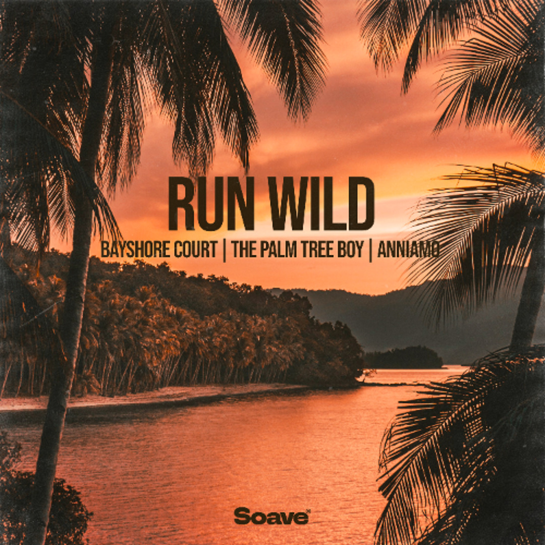 Bayshore Court, The Palm Tree Boy & ANNIAMO - Run Wild