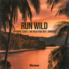 Bayshore Court, The Palm Tree Boy & ANNIAMO - Run Wild