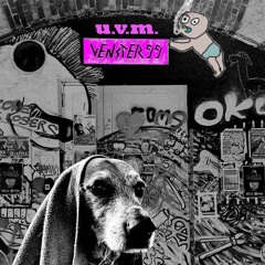 u.v.m. - Unser Venster Moment