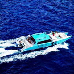 Review Special Price Boomerangs Best Of Anguilla Swim With Turtles Adventure