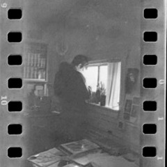 Tulips- Demo For Noah