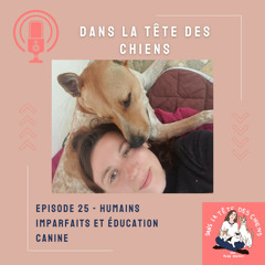 Comment gérer nos émotions dans l'éducation de nos chiens ?