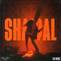 SHAIQAL (DLN Remix)