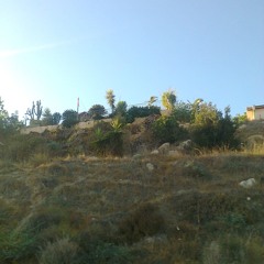 grahm barracel