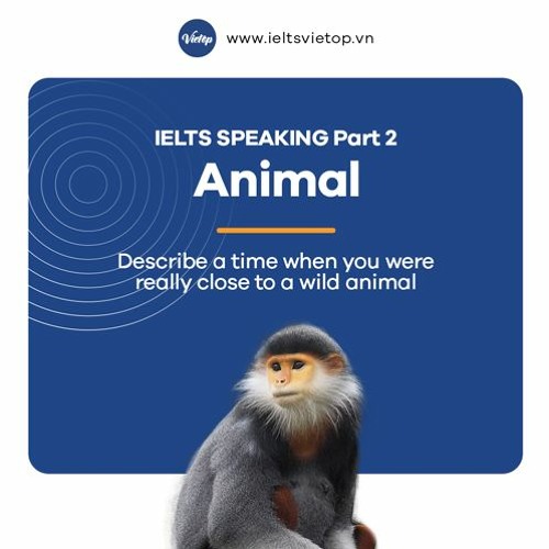 Stream Describe a time when you were really close to a wild animal – IELTS  Speaking part 2 by IELTS VIETOP | Listen online for free on SoundCloud