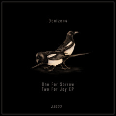 Premiere : Denizens - Two For Joy (JJ022)