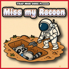 Miss my Raccoon