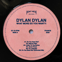 PREMIERE: Dylan Dylan - Natural High [Pont Neuf Records]