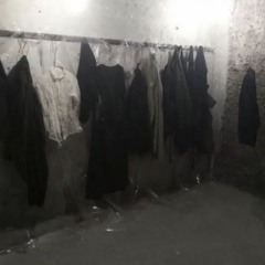 @allwhiteteegallery X @aliveleaks