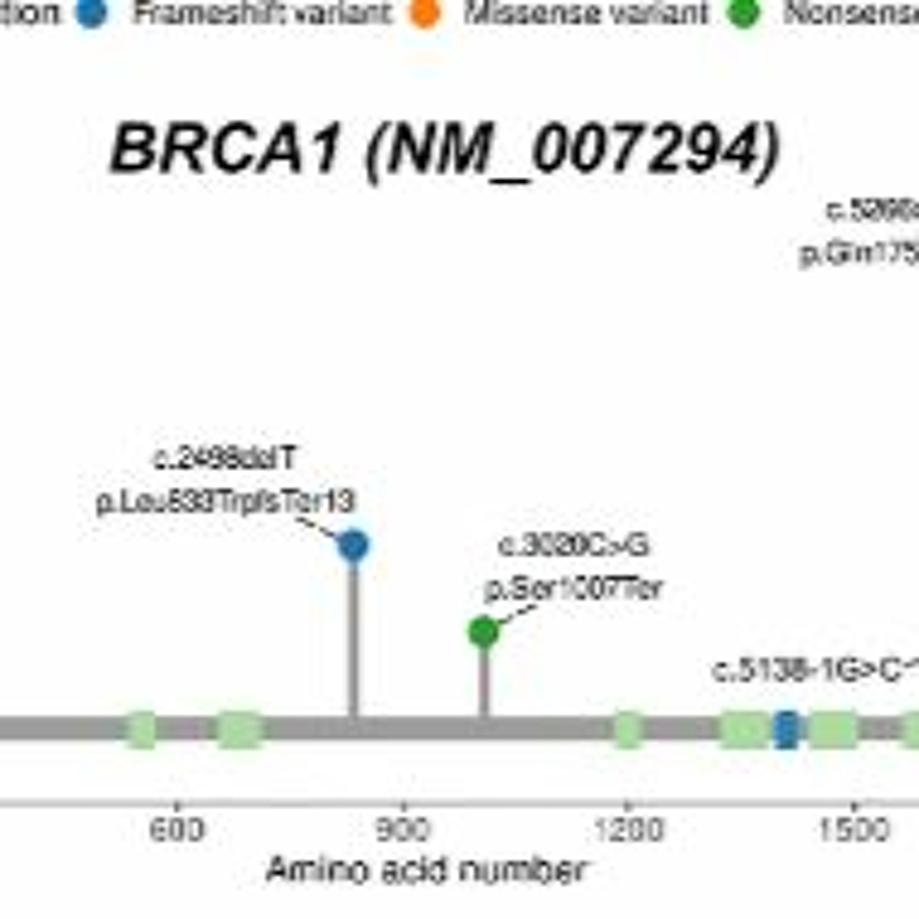 Oncotarget