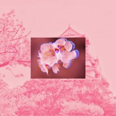 C H E R R Y B L O S S O M (Mac Miller Type Beat)