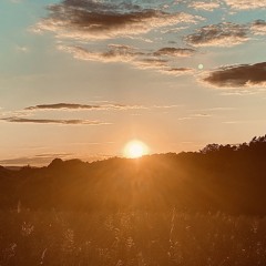 Sunset Fields
