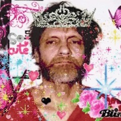 you have captured the unabomber! (2020)