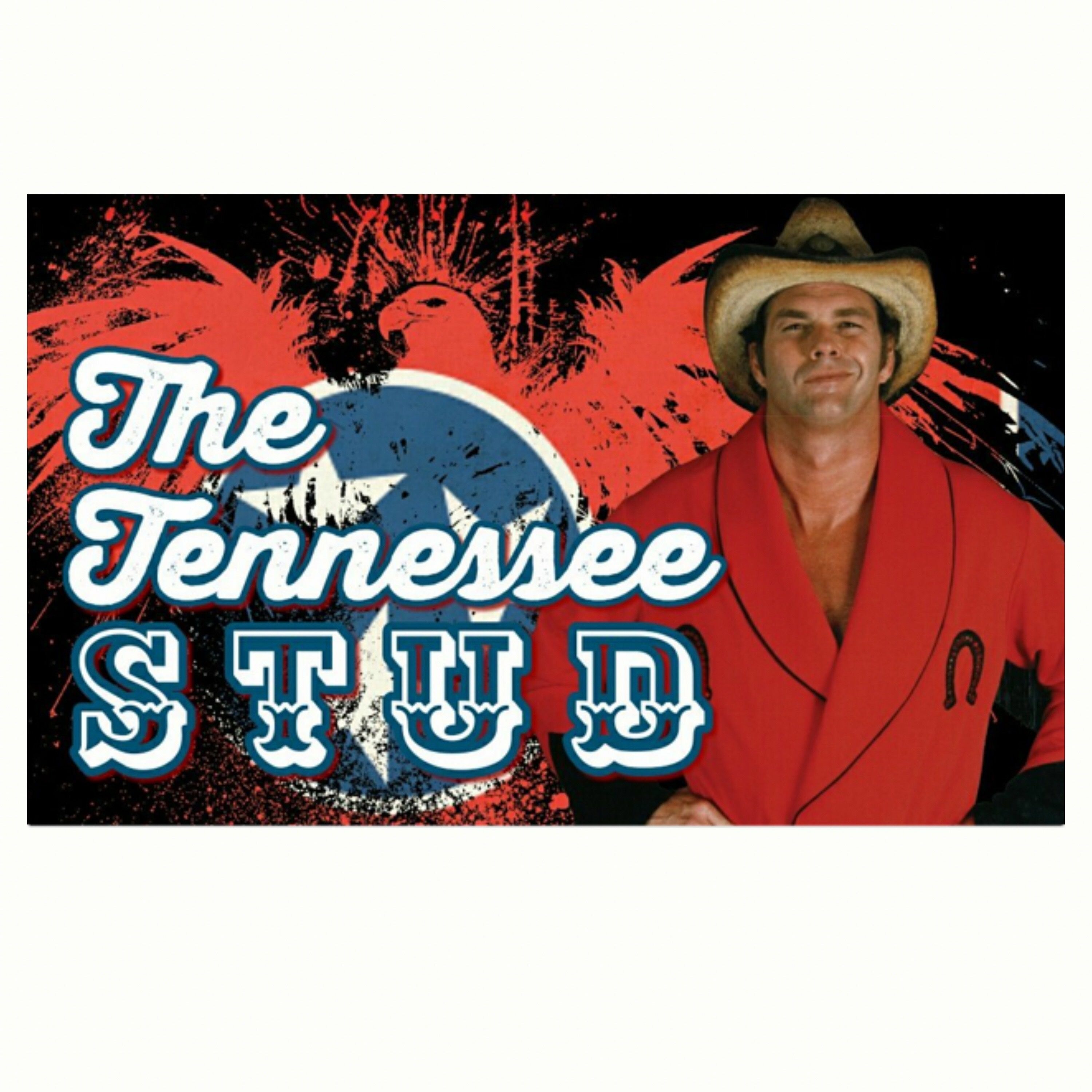 Ron Fuller\'s Studcast